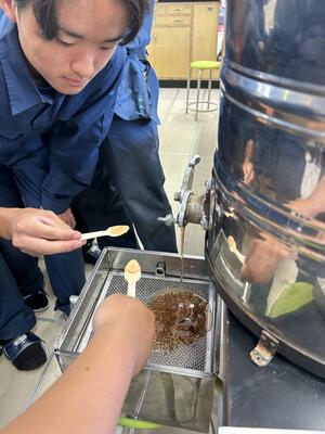 採れたてはちみつを試食中