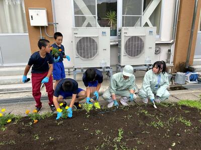 定植の様子